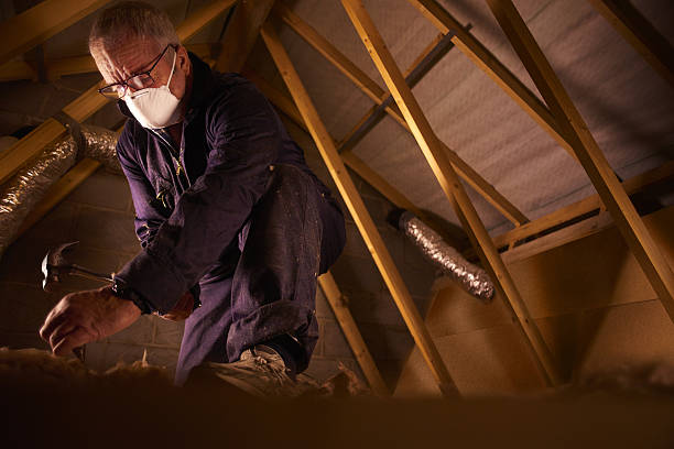 Professional Insulation Contractor in Russellville, KY
